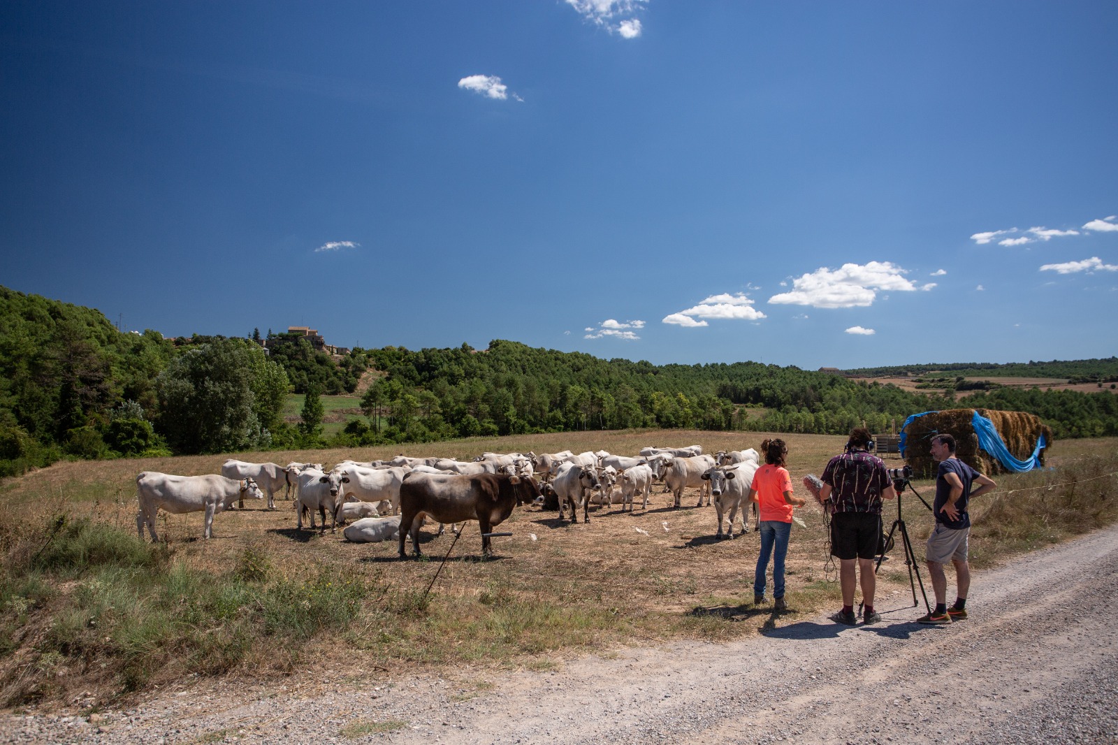 Cardona i El Solsonès presenten un projecte de promoció del territori i del producte local