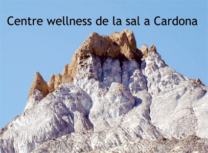 L'Ajuntament presenta el projecte del centre wellness