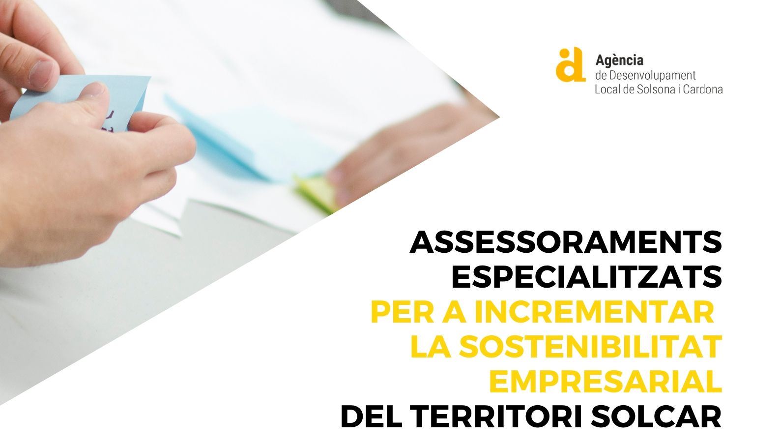 L'Agència de Desenvolupament Local obre un termini per empreses i comerços per demanar assessorament