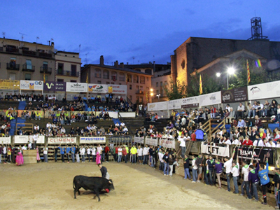 El concurs de cartells de la Festa Major 2015 continua obert