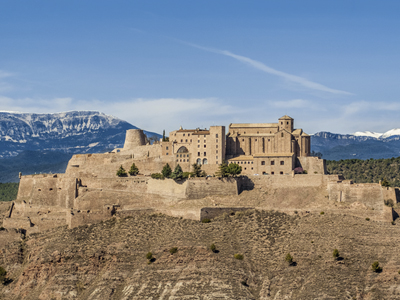 El castell de Cardona a la llista top 20 de la pàgina web de l'Agència Catalana del Patrimoni Cultural