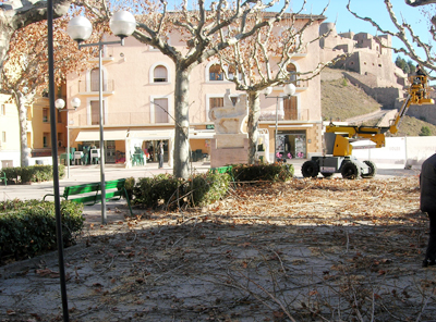 L'Ajuntament de Cardona apunt de completar la campanya anual de poda d'arbres  