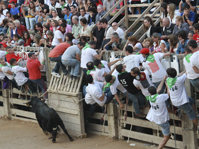 L'Ajuntament i la Comissió de festes demanen l'opinió dels veïns sobre la Festa Major de Cardona