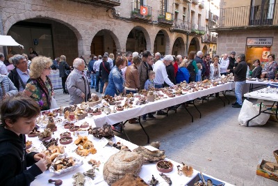 La Fira de la llenega es consolida entre les fires boletaires del país