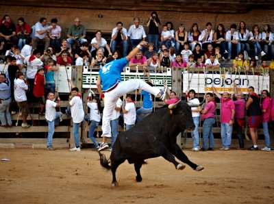 L'Ajuntament i la Comissió de festes demanen l'opinió dels veïns sobre la Festa Major de Cardona