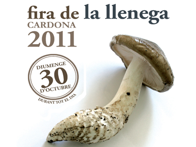 Tot a punt per a la Fira de la Llenega 2011