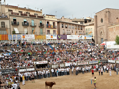 L'Ajuntament convida els veïns a engalanar els balcons per Festa Major i la Diada