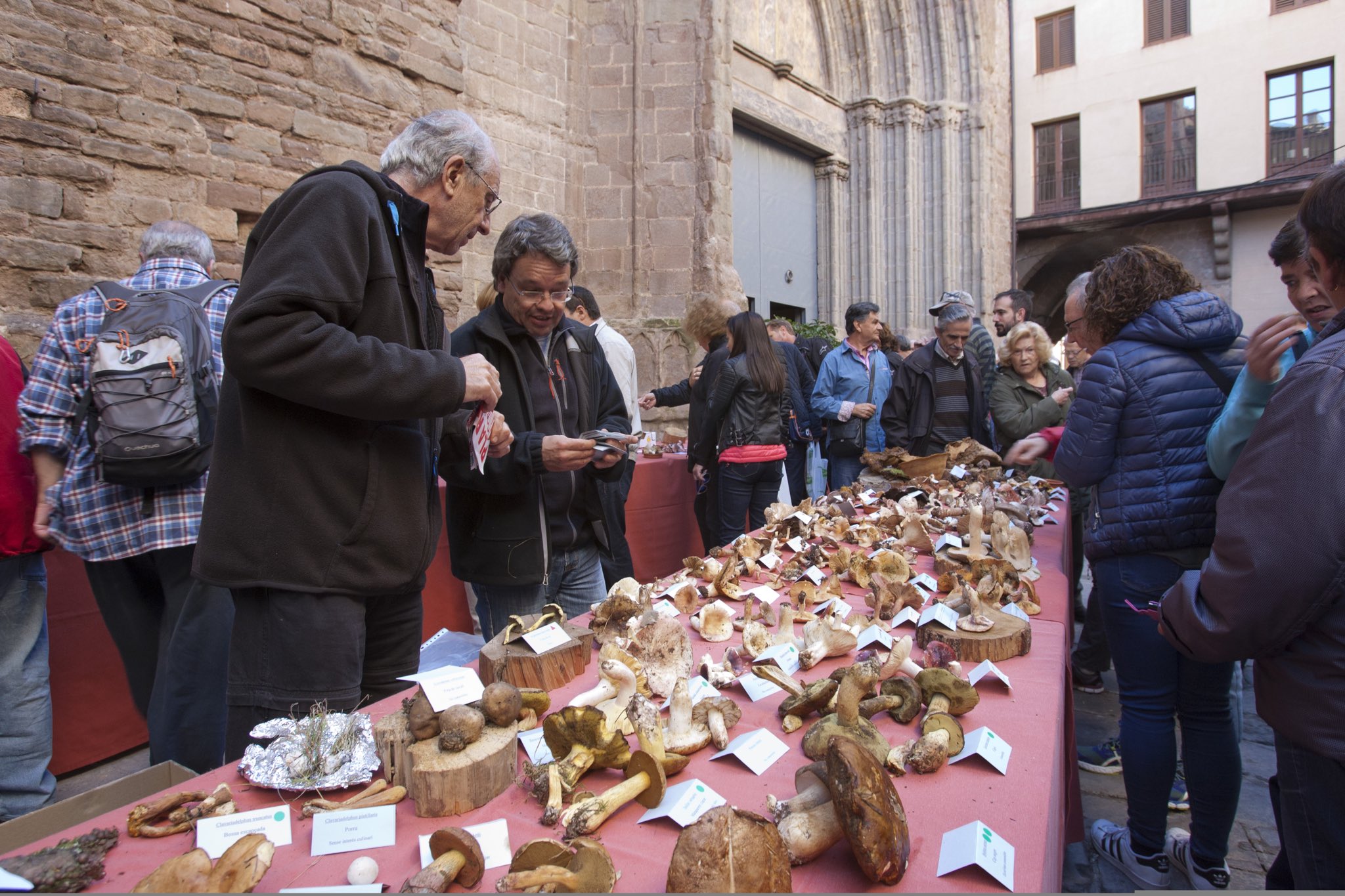 IMPORTANT: La Fira de la Llenega es manté amb alguns canvis d'activitats