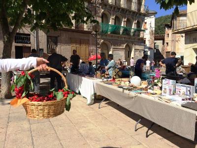 Nova edició del Mercat del Gat a la Coromina 