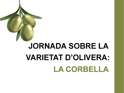 Jornada sobre una varietat local, l'olivera corbella