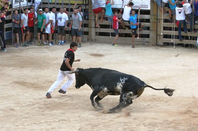 S'obren les inscripcions per a l'exhibició de retalladors del dissabte de Festa Major